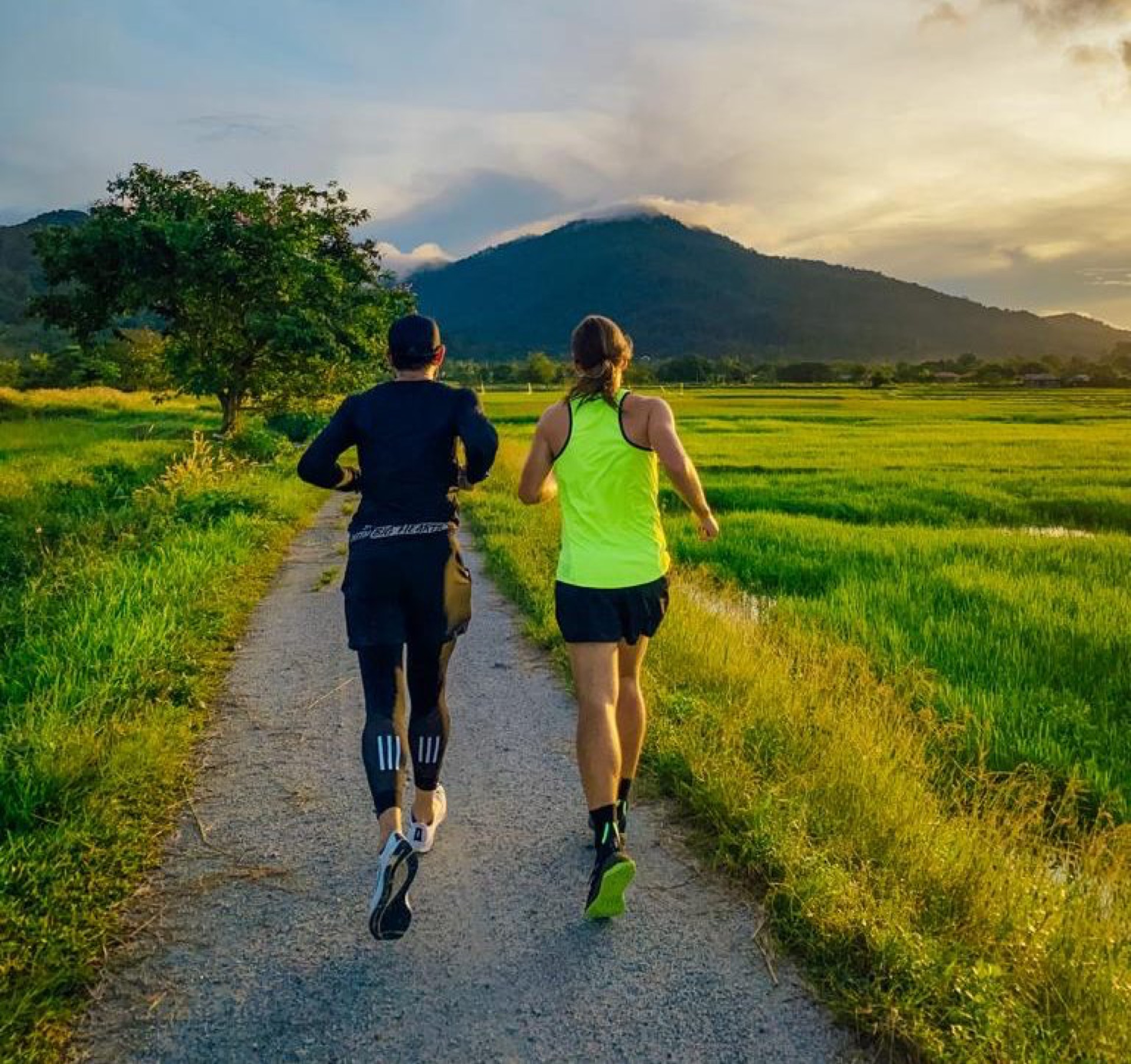 Running route near rice paddies and coast in Langkawi’s Gunung Raya valley