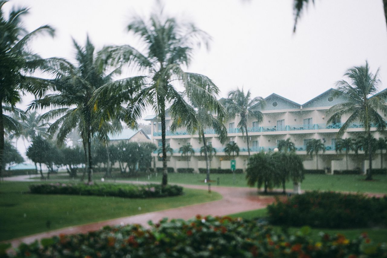 A tropical hotel and palm trees on an overcast, rainy day